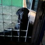 Profile Picture of Taison Davalos (@taison.davalos) on Facebook