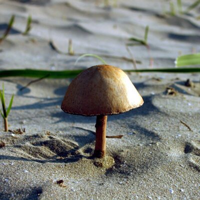 Profile Picture of Alex Rotar (@alex19000) on Twitter