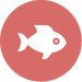 Profile Picture of Eugene Denisov (@boxersfriend) on Pinterest