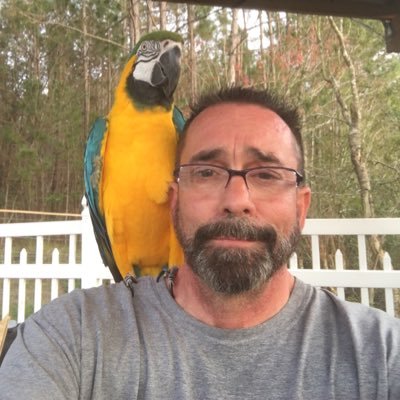 Profile Picture of Darrell Palmer (@Darrell58361523) on Twitter