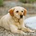 Profile Picture of Betsy Plummer (@betsy.plummer.902) on Facebook
