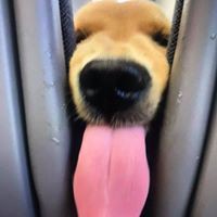 Profile Picture of Trần Hằng (@trần-hằng-19) on Quora