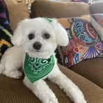 Profile Picture of Karen Cronk (@karen.cronk.96) on Facebook