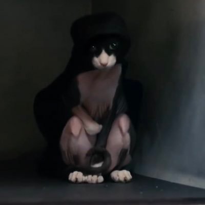 Profile Picture of Brandon Coffin (@@Coffin_Brandon) on Twitter