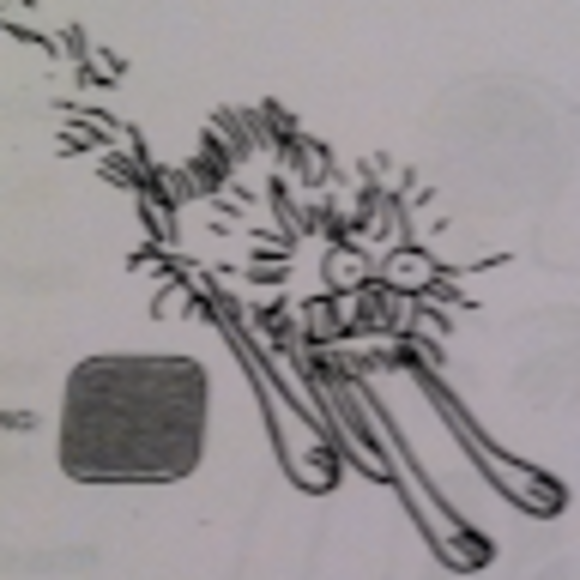 Profile Picture of Erin Walsh (@edubwalsh) on Poshmark