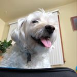 Profile Picture of Erika Hack (@erikahack22) on Instagram