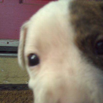 Profile Picture of Nicholas Brice (@NicholasBrice6) on Twitter