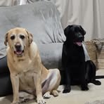 Profile Picture of Jason Massing (@tookus) on Facebook