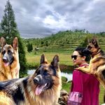 Amanda Annette - Instagram Profile Picture of Amanda Annette (@amanda_kongrit) on Instagram