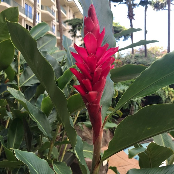 Profile Picture of Breanne Mazmanian (@breblu) on Poshmark