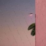 Profile Picture of Jeana Robert (@jammierottmann132) on Instagram