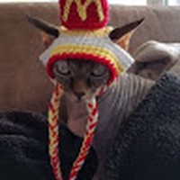 Profile Picture of Lisa Stegall (@lisa-stegall-10) on Quora
