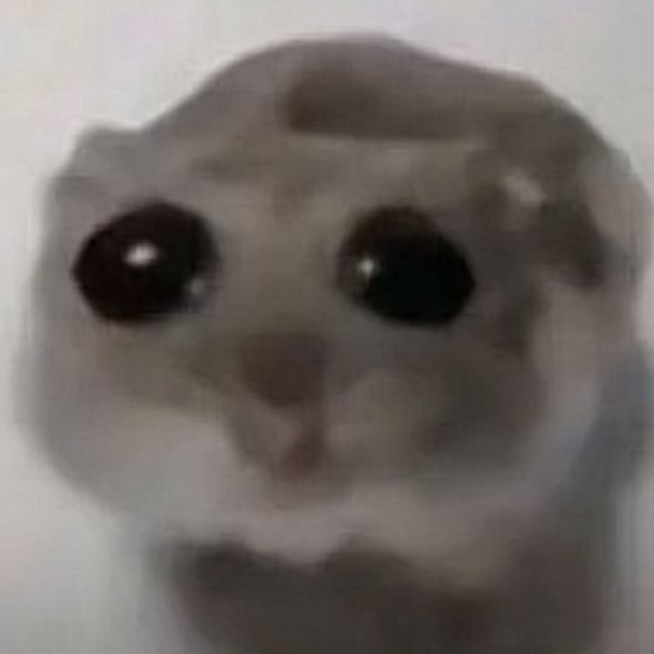 Profile Picture of Abby Arevalo (@abby.arevalo4) on Tiktok