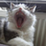 Profile Picture of Mark Viveen (@mark viveen) on Flickr