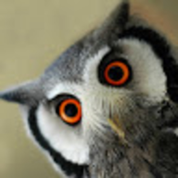 Profile Picture of Rose Marcello (@rosemarcello7) on Poshmark