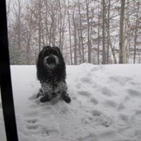 Profile Picture of David Chauvette (@david-chauvette) on Quora