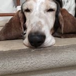 Profile Picture of Carlos (@carloscastera) on Instagram