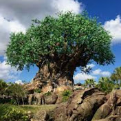 Profile Picture of Staff.Sharon Sutton (@staff.sharonsutton2697) on Youtube