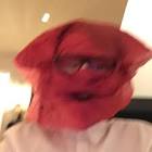Profile Picture of   Erik Haugland (@iikemo1234)... (@iikemo1234) on Tiktok