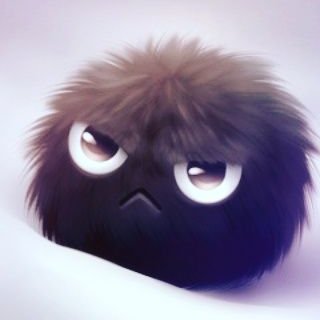 Profile Picture of Tamara Abdallah (@tamaramaloalain) on Twitter