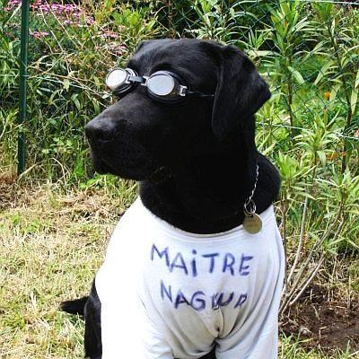 Profile Picture of Eric Hubert (@bugbuster69) on Twitter