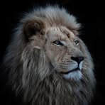 Profile Picture of Claudia Freimann (@claudia.freimann.3) on Facebook