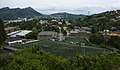 Profile Picture of Askøyon Wikipedia