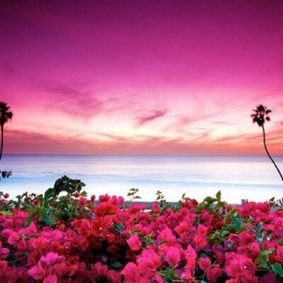 Profile Picture of Haley Rodgers (@haleyrodgers) on Twitter