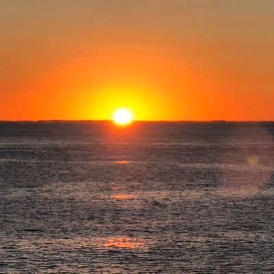 Profile Picture of Tom Trammell (@TomJTrammell) on Twitter