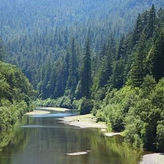 Profile Picture of Kathi Colpaert (@kathi.colpaert.10) on Facebook