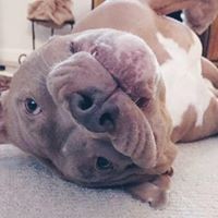 Profile Picture of Tim Gardner (@tim-gardner-59) on Quora