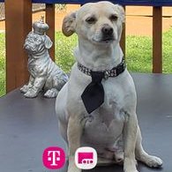 Profile Picture of Connie Bray (@ConnieB29721463) on Twitter