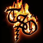 Profile Picture of Chris Caffery (@transsiberianorchestrafanpage) on Instagram