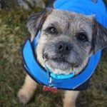 Profile Picture of Tamara Fenton (@tamara.fenton.146) on Instagram