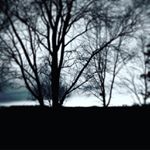 Profile Picture of Damen Stevens (@damen_stevens) on Instagram