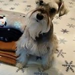 Profile Picture of Bella Ramos (@imelda.cavazos63) on Instagram