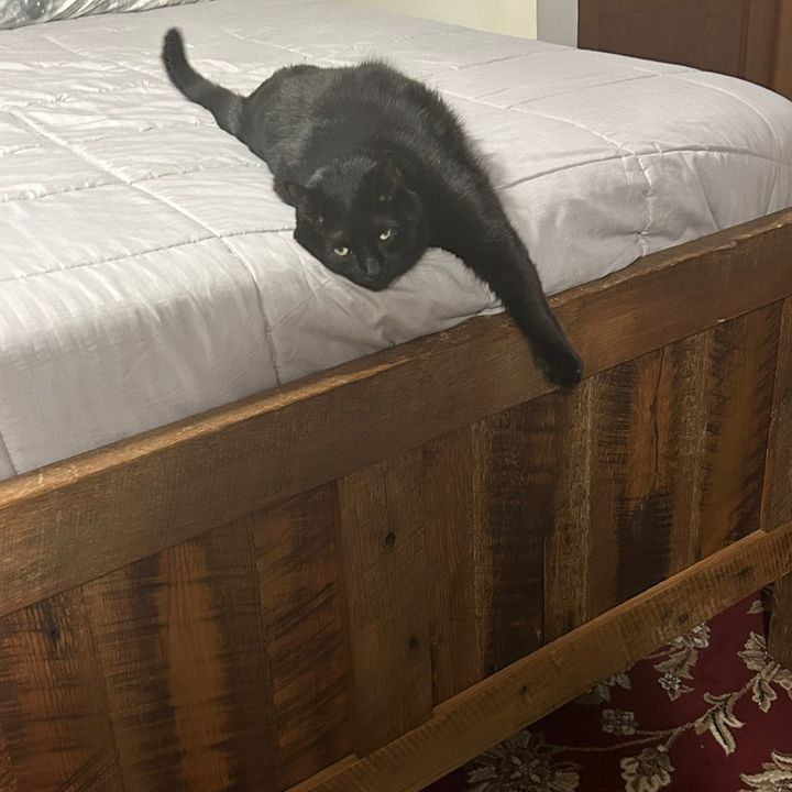 Lorie Trudell - Tiktok Profile Picture of Lorie Trudell (@lorie.trudell) on Tiktok