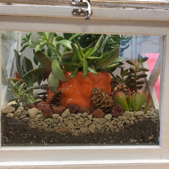 Profile Picture of Inell Magdaleno (@x95307) on Poshmark