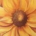 Profile Picture of Thomas Hector (@thomas.hector.98031) on Facebook