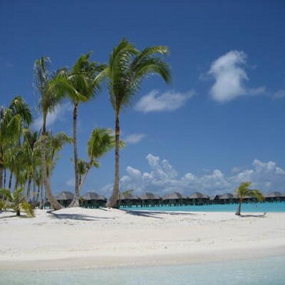 Profile Picture of Tom Varghese (@TravelTomUSA) on Twitter