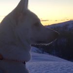 Profile Picture of Jonny Andersen (@jonny.andersen.90) on Instagram