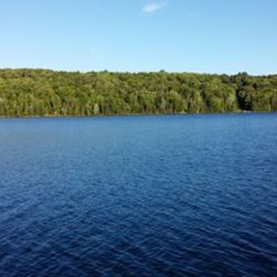 Profile Picture of Todd Michael (@forslund2k) on Twitter