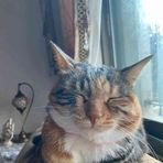 Profile Picture of Lamya Batta (@Lamya-Batta) on Facebook