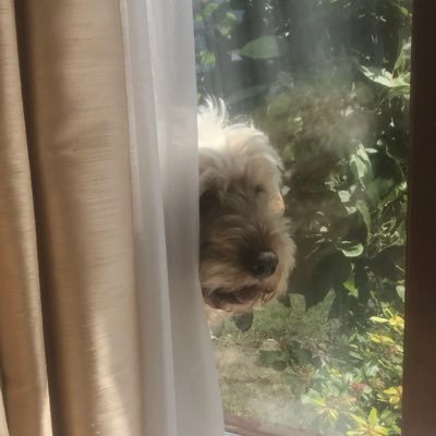 Profile Picture of Lynn (@LynnADaly) on Twitter