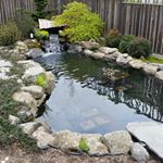 Profile Picture of Aaron Buchholz (@satoyamagardens) on Instagram