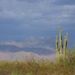 Profile Picture of Jean Hays (@jthays) on Pinterest
