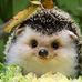 Profile Picture of Denise Schnider (@denise.schnider.54) on Facebook