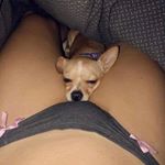 Profile Picture of Caile Perro 🎈 (@caileperro_) on Instagram