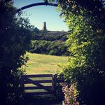 Robin Hadlock Seeley - Instagram Profile Picture of Robin Hadlock Seeley (@shoalsarch) on Instagram