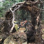 Profile Picture of Rob Baldwin (@baldwin.rob) on Instagram